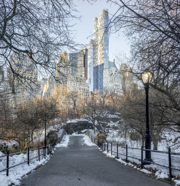 Gapstow Bridge Central Park, New York City — Stockfoto