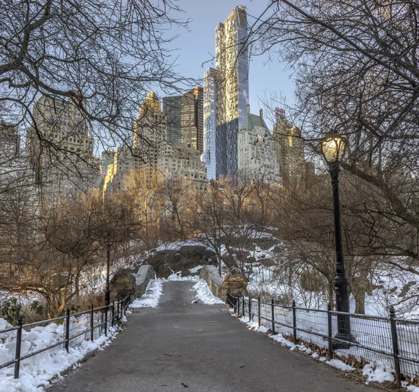 Ponte di Gapstow Central Park, New York — Foto Stock