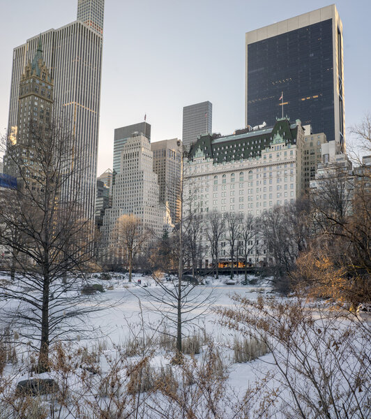 Central Park, New York City after snow storm near the Plaza hotel
