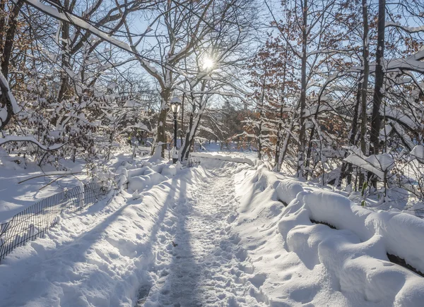 Central Park, Nova Iorque — Fotografia de Stock