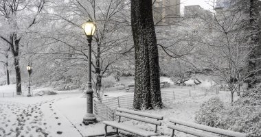 Central Park, New York City kar fırtınası