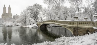 Central Park, New York Şehri