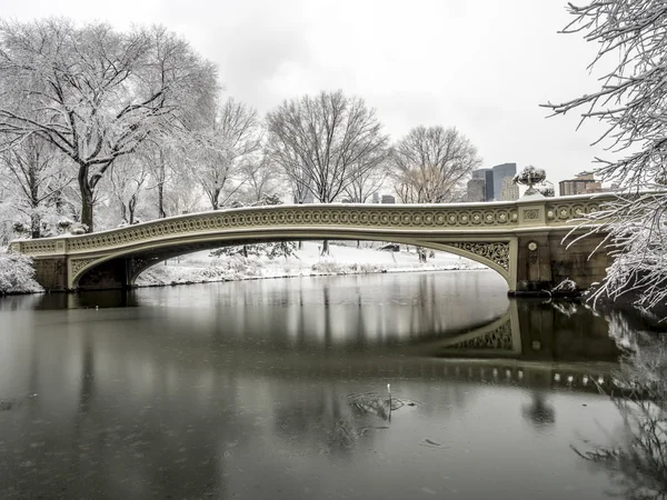 Central Park, New York City — Stockfoto