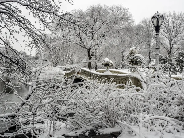 Central Park, New York City — Stock fotografie