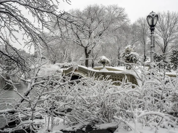 Central Park, New York City — Stockfoto