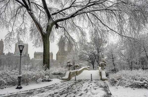 Central Park, Nueva York —  Fotos de Stock