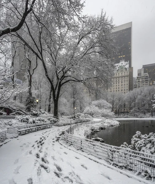 Central Park, New York City snöstorm — Stockfoto