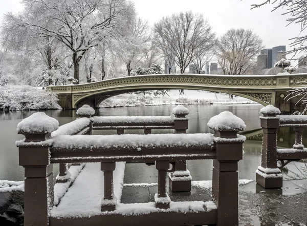 Central Park, New York City — Stockfoto