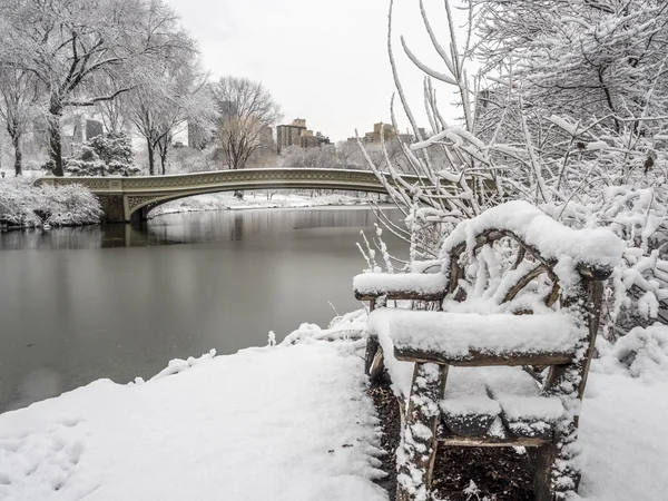 Central Park, Nowy Jork — Zdjęcie stockowe