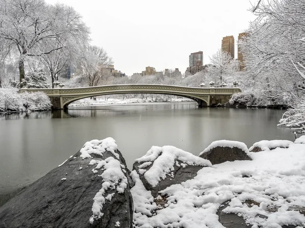 Central Park, New York Şehri — Stok fotoğraf