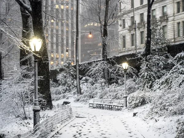 Central Park, New York Tempête de neige — Photo