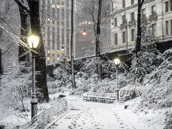 Central Park, New York City, Febuary 5th 2016, snow storm