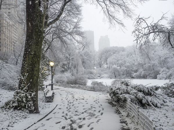 Central Park, New York City, Febuary 5th 2016, snow storm