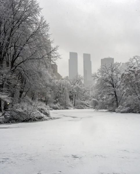 Central Park, New York City Schneesturm — Stockfoto