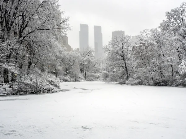 Central Park, Nova York tempestade de neve — Fotografia de Stock