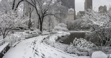 Central Park New York City, Manhattan kar fırtınası sırasında
