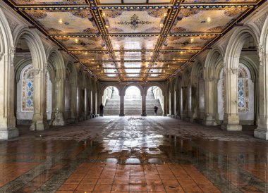 Central Park New York City, Manhattan kar fırtınası sırasında