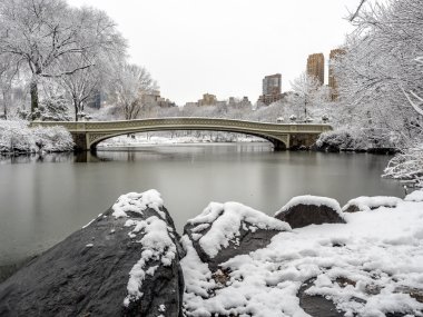 Central Park New York City, Manhattan kar fırtınası sırasında