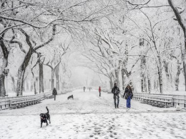 Central Park New York City, Manhattan kar fırtınası sırasında