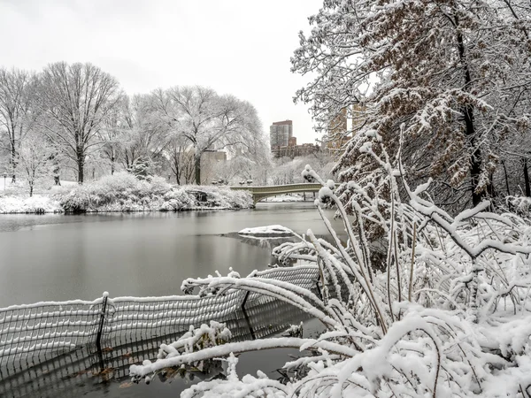 Central Park New York City, Manhattan během vánice — Stock fotografie