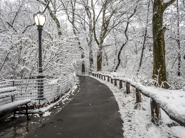 Central Park New York City, Manhattan selama badai salju — Stok Foto