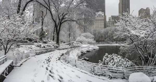 Central Park New York City, Manhattan under blizzard — Stockfoto