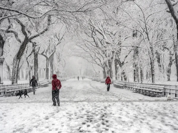 Central Park New York City, Manhattan durante la ventisca — Foto de Stock
