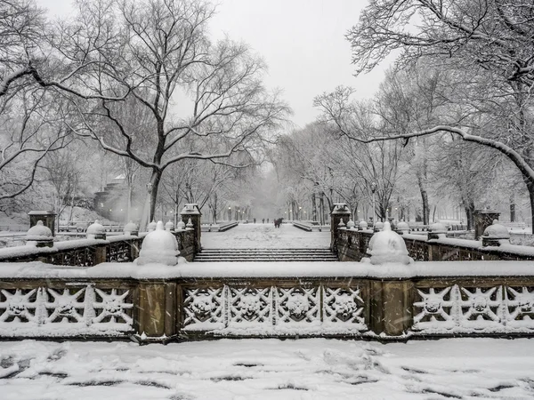 Central Park New York City, Manhattan tijdens blizzard — Stockfoto