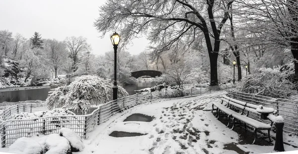 暴雪在曼哈顿中央公园纽约城 — 图库照片