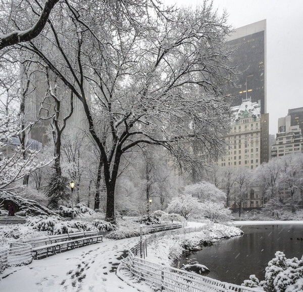 Central Park during a snow storm on Febuary 4th 2016 New York City,Manhattan photo shot in area near Gapstow bridge and 60th street in the morning