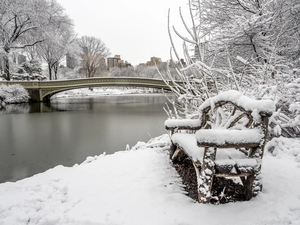 Central Park New York City, Manhattan under blizzard — Stockfoto