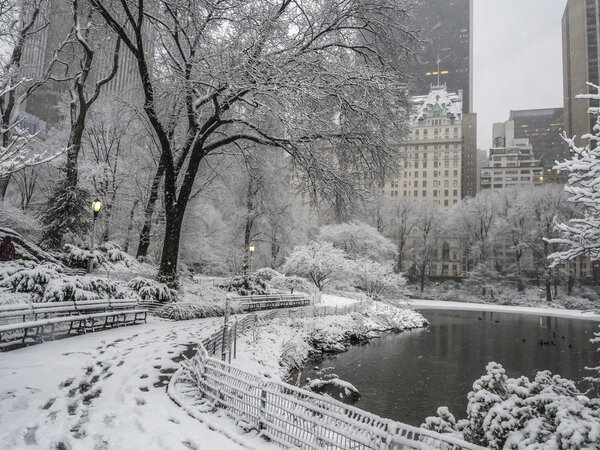 Central Park during a snow storm on Febuary 4th 2016 New York City,Manhattan photo shot in area near Gapstow bridge and 60th street in the morning