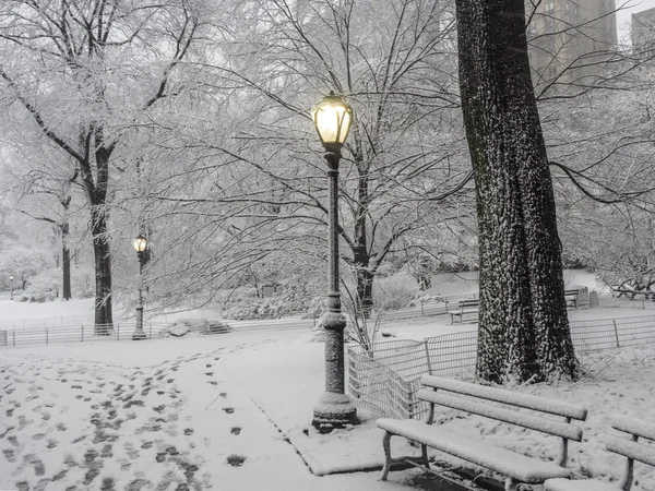 Central Park New York City, Manhattan durante a nevasca — Fotografia de Stock