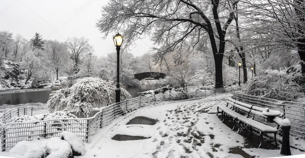 Central Park New York City, Manhattan during blizzard