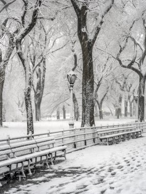 Central Park, New York City kar fırtınası