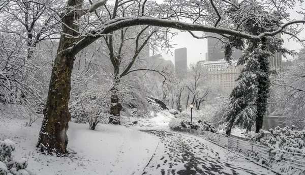 Central Park, New York Tempête de neige — Photo