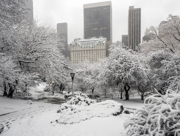 纽约中央公园，市雪风暴 — 图库照片