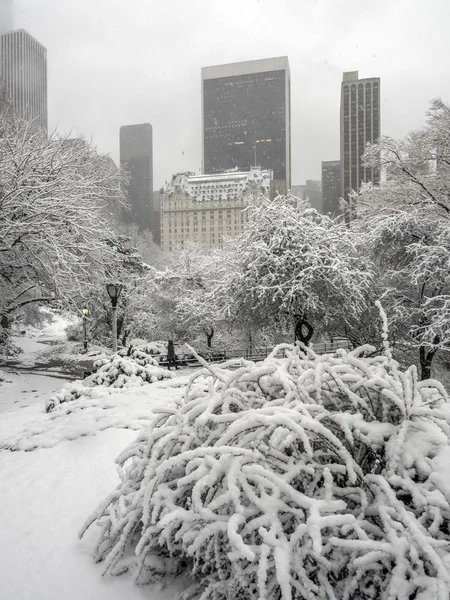 Central Park, tormenta de nieve de Nueva York —  Fotos de Stock