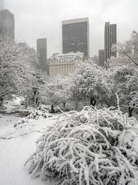 Central Park, New York City during snow storm 2/5/2016 blizzard consitions