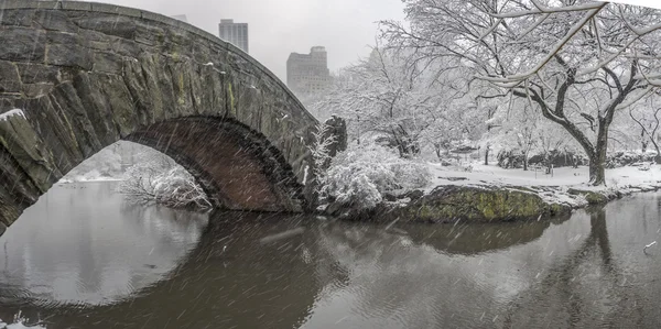 Gapstow brug Central Park, New York City tijdens de sneeuwstorm — Stockfoto