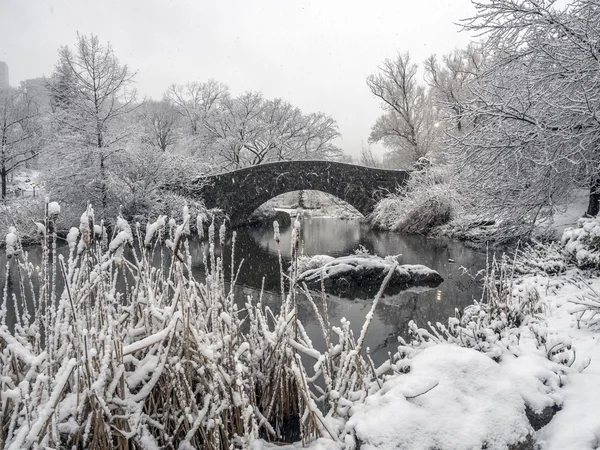 Gapstow brug Central Park, New York City tijdens de sneeuwstorm — Stockfoto