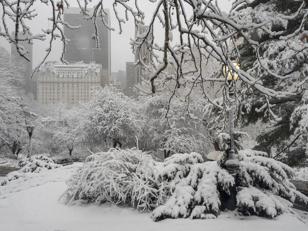 Central Park, New York City during snow storm 2/5/2016 blizzard consitions
