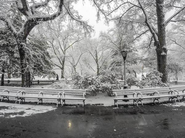 Central Park, New York City snöstorm — Stockfoto