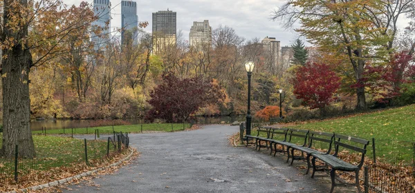 Central Park, New York şehir sonbahar — Stok fotoğraf