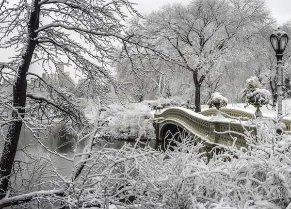 Bow bridge under snöstorm — Stockfoto