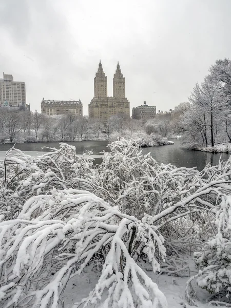 At the lake during snow storm — Stock Photo, Image