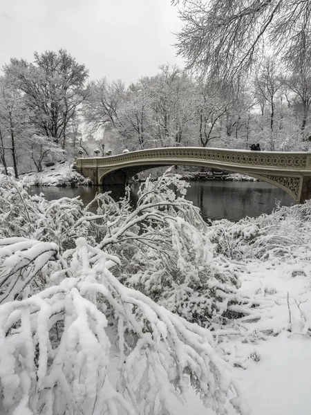 在暴风雪期间弓桥 — 图库照片