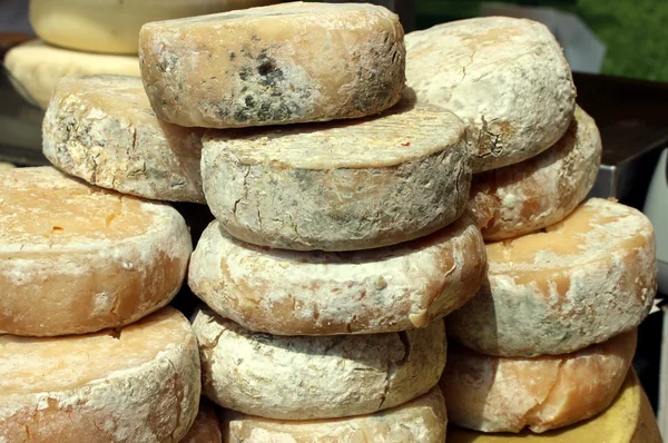 Gereifter und schmackhafter Käse — Stockfoto