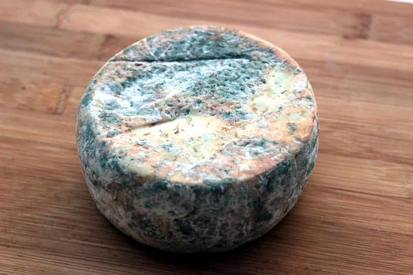 En lagrad ost — Stockfoto