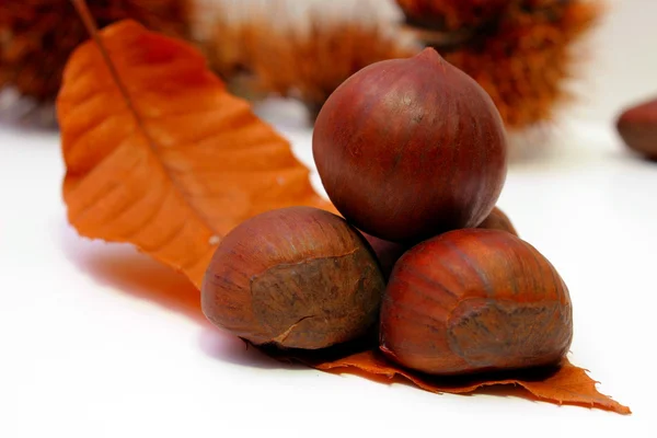 Alcune castagne arrosto — Foto Stock